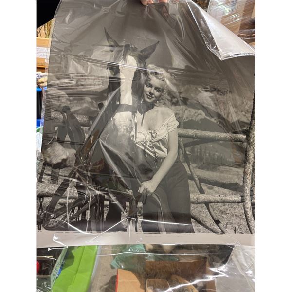 Marilyn Monroe river of no return 20 x 22 photo enlargement