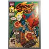 Image 1 : Ghost Rider Vol. 2 #17 (Marvel, 1991) Spider-Man & Hobgoblin Appearance