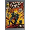 Image 1 : Ghost Rider Vol. 2 #11 (Marvel, 1991) Hex, Lies & Inner Escape!