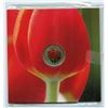 Image 1 : 2011 Canada 25 Cent Tulip Coin