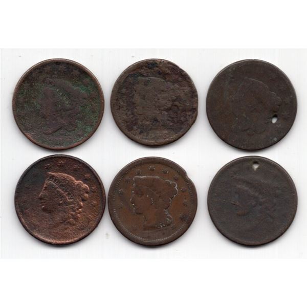 Lot of 6 United States Large Cents