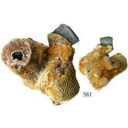 Mexico, cob 4 reales, Philip V, assayer not visible, jutting out from a large coral conglomerate (po