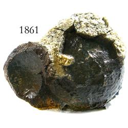 Small, encrusted iron cannonball.