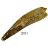 Image 1 : Large dinosaur tooth (Spinosaurus aegypticus, 115 million years old) from the Sahara Desert.