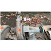 Image 3 : 3 ASSORTED INDUSTRIAL CENTRIFUGAL PUMPS