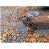Image 3 : 1980 REHN PUP SEMI TRAILER, DUMP TRAILER, RED, VIN 2BGK0327800RP2380,