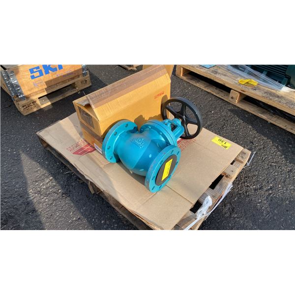 INDUSTRIAL CAST IRON GLOBE VALVE & CL125 BRZ CXC SC SWING CHECK VALVE