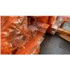 Image 2 : LIFT OF WOOD GRAIN COMPOSITE CLADDING TRIM APPROX 18'L