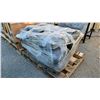 Image 2 : 2 LARGE INDUSTRIAL PUMPS WITH MOUNTING BRACKETS ON WOODEN PALLET