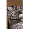 Image 4 : CARDBOARD PALLET BIN OF ASSORTED COMMERCIAL PLUMBING SUPPLIES AND HARDWARE