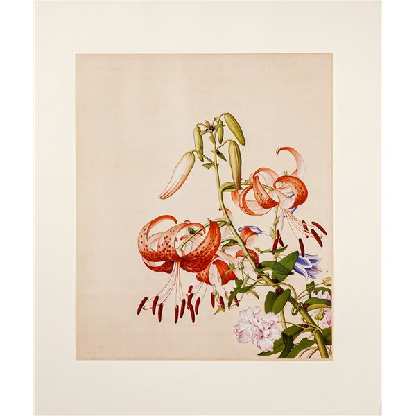 After Lang Shining, Original Color Print on Silk Paper, Lily and Peony