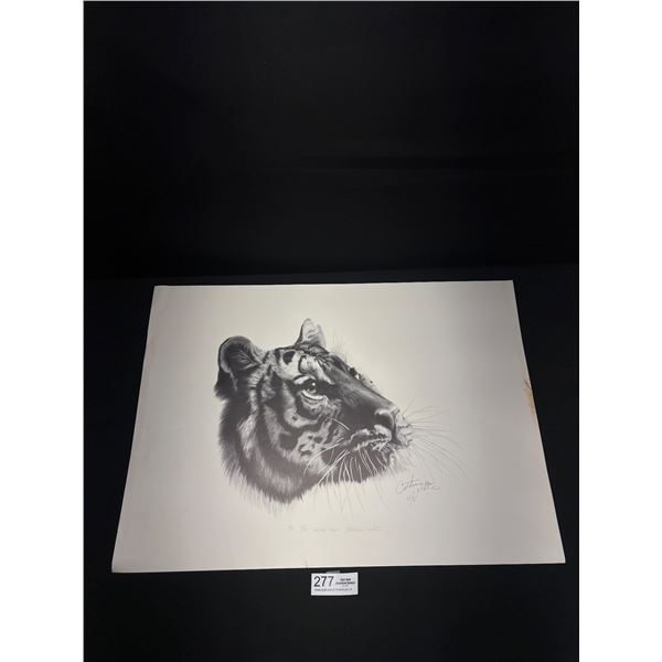 "Bengal Tiger" #12/42 AP Print By Catherine White Dated 12/85 Approx 18" x 25"