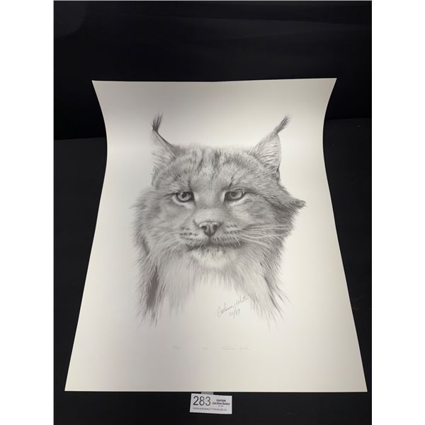 "Lynx" #205/500 Print By Catherine White Dated 1/87 Approx 19" x 25"