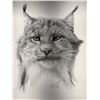 Image 2 : "Lynx" #205/500 Print By Catherine White Dated 1/87 Approx 19" x 25"