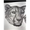 Image 2 : "Cheetah, Cheetah" #411/500 Print By Catherine White Dated 3/87 Approx 19" x 25"