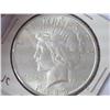 1923 Peace Silver Dollar (UNC)