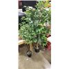 Image 1 : 2 SMALL ARITIFICIAL PLANTS, 3FT AND 4FT