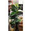 Image 3 : 5FT ARTIFICIAL PLANT