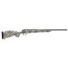 Image 1 : BERGARA SIERRA WLDRNSS 300PRC 22" 2R