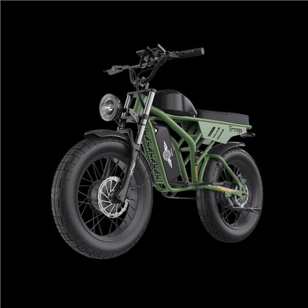 Freego Flash F3 Pro Dual Motor and Battery eBike