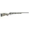Image 1 : BERGARA SIERRA WLDRNSS 308 20" 4RD