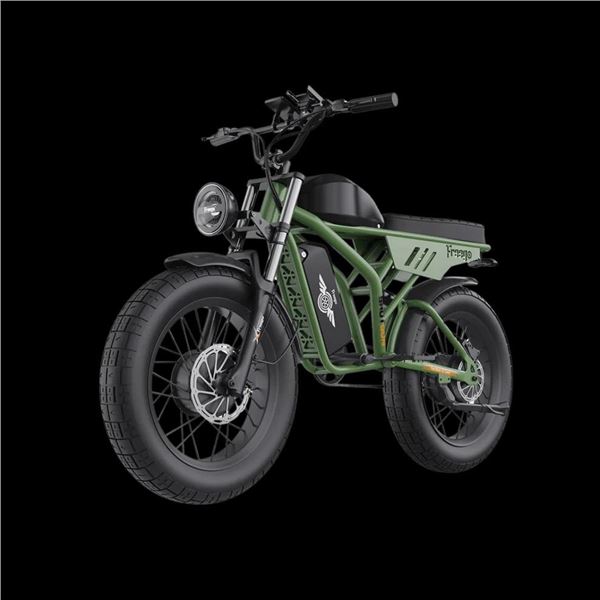 Freego Flash F3 Pro Dual Motor and Battery eBike