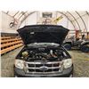 Image 32 : PARKSVILLE - 2008 FORD ESCAPE, BLACK, 274294 KMS, FOUR WHEEL DRIVE. - BA93596