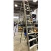 Image 1 : 10 Foot ladder