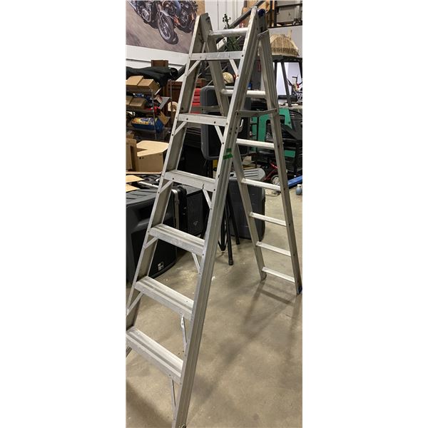 12 Foot ladder
