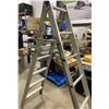 Image 2 : 12 Foot ladder