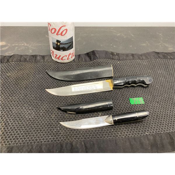 2 Hunting knifes with sheathes