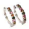 Image 1 : Natural Oval Multi Color  Tourmaline Earrings