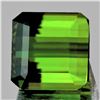 Image 1 : Natural Green Tourmaline {Flawless-VVS1}