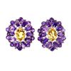 Image 1 : Natural Citrine  Amethyst Earrings