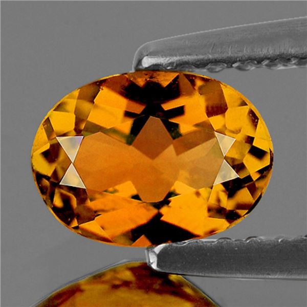 Natural  Golden Yellow Tourmaline [Flawless-VVS]