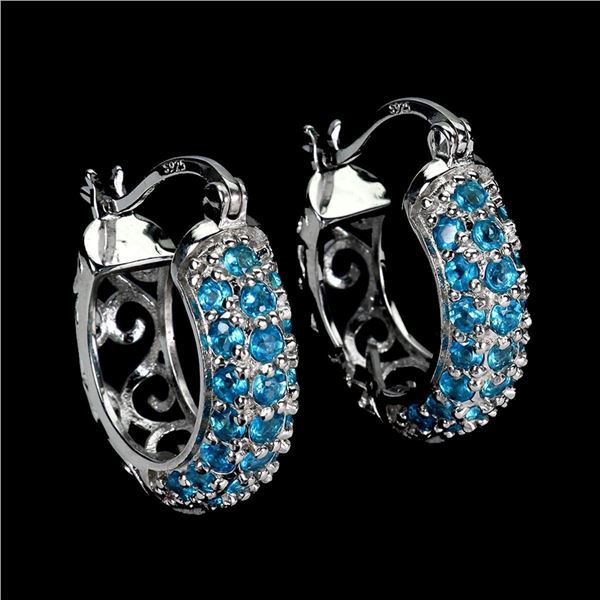 Natural Rare Brazil Blue Apatite Earrings