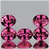 Image 1 : Natural Violet Red Sapphire 5 Pcs {Flawless-VVS}