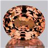 Image 1 : Natural Padparadscha Tourmaline  {Flawless-VVS}