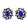 Image 1 : Natural Blue Sapphire & Spinel EarRing