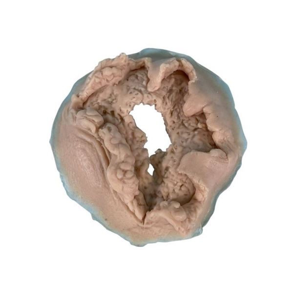 The Belko Experiment (2016) - Blownout Head Appliance (Unused) Lot B