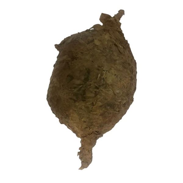 The Walking Dead (2010-2022) - Whisperer Sap Bomb