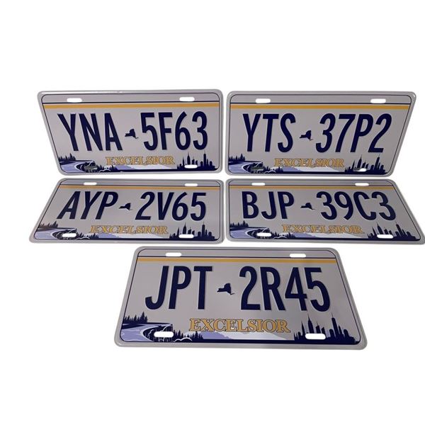 Fall of the House of Usher (2023) - Set of 5 Screen Used Hero license Plates