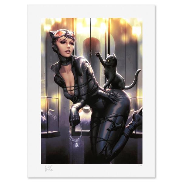 Catwoman: All Tied Up by DC Comics