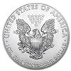 Image 2 : 2015 American Silver Eagle 1oz BU Coin