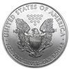 Image 2 : 2010 American Silver Eagle 1oz BU Coin