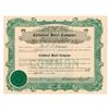 Image 1 : TX. Cathedral Hotel Co., 1926 I/U Stock Certificate