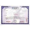 Image 1 : Edify Corp., 1990s Odd Shrs Specimen Stock Cert, VF SCBN