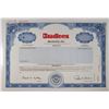Image 1 : MA. Bradlees, Inc., 1999 Odd Shares Specimen Stock Certificate, VF SC-USBN