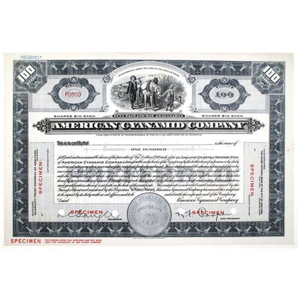 ME. American Cyanamid Co., 1950s 100 Shrs Specimen 5% Cumulative Stock Cert