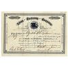 Image 1 : NJ. Union Fastening Co., 1883 50 Shrs I/U Capital Stock Cert., VF-XF Condition